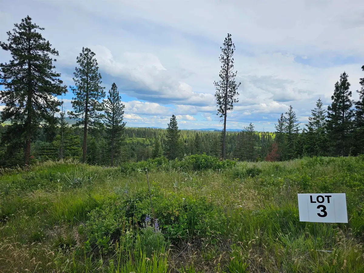 NNA S Sands Rd, Valleyford, WA 99036 - #1