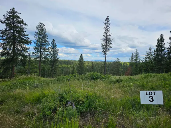 NNA S Sands Rd, Valleyford, WA 99036