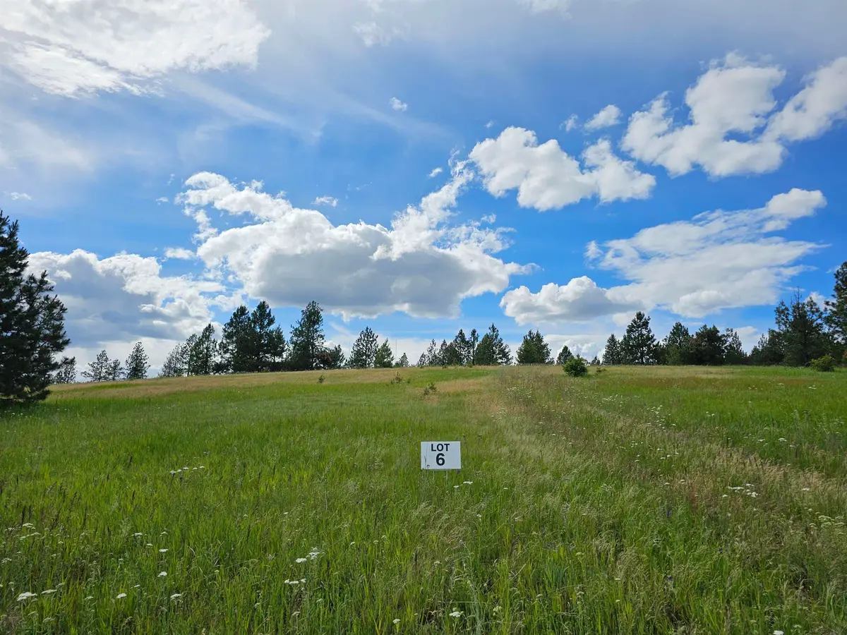 9630 S Sands Rd, Valleyford, WA 99036 - #1