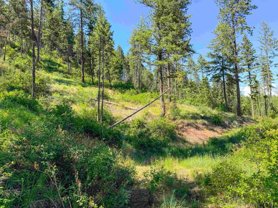 2008-TBD (E-H) Summit Valley Rd, Addy, WA 99101 - #2