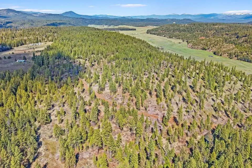 4XXX Tbd, Springdale, WA 99173 - #1