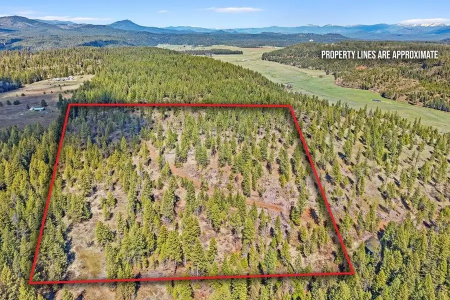 4XXX Tbd, Springdale, WA 99173 - #2