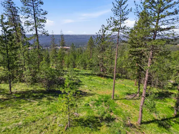 NKA Weaver Way, Deer Park, WA 99006