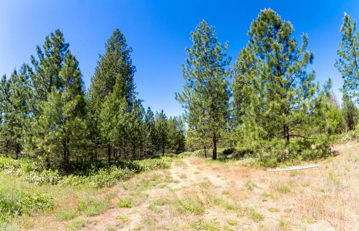 29XXX N Hardesty Rd, Chattaroy, WA 99003 - #1