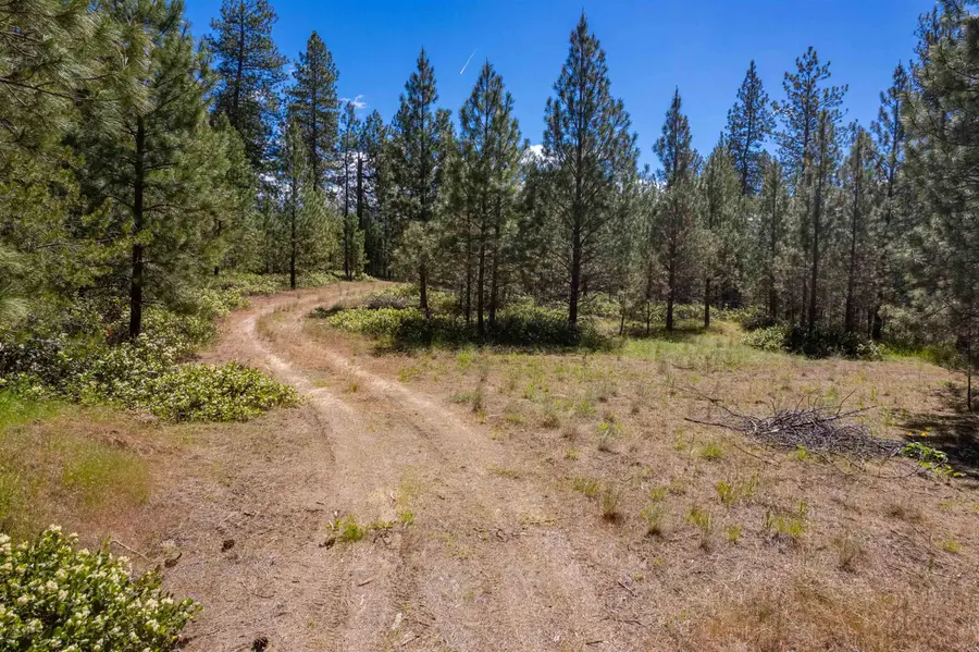 29XXX N Hardesty Rd, Chattaroy, WA 99003 - #3