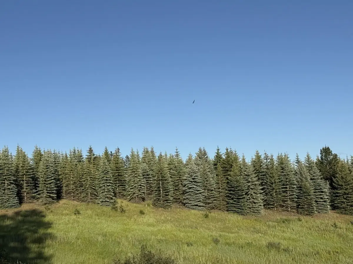 13XXX E Gibbs Rd, Mica, WA 99023 - #1