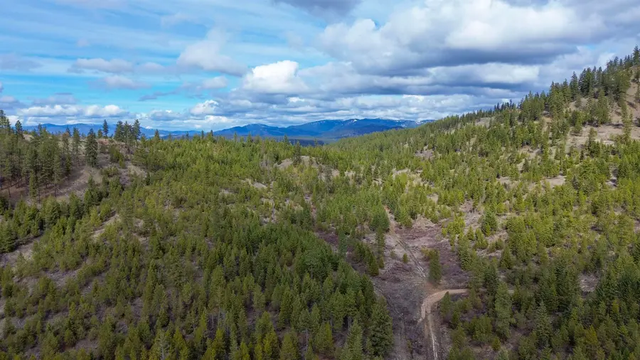 352X Greene Rd, Valley, WA 99181 - #2