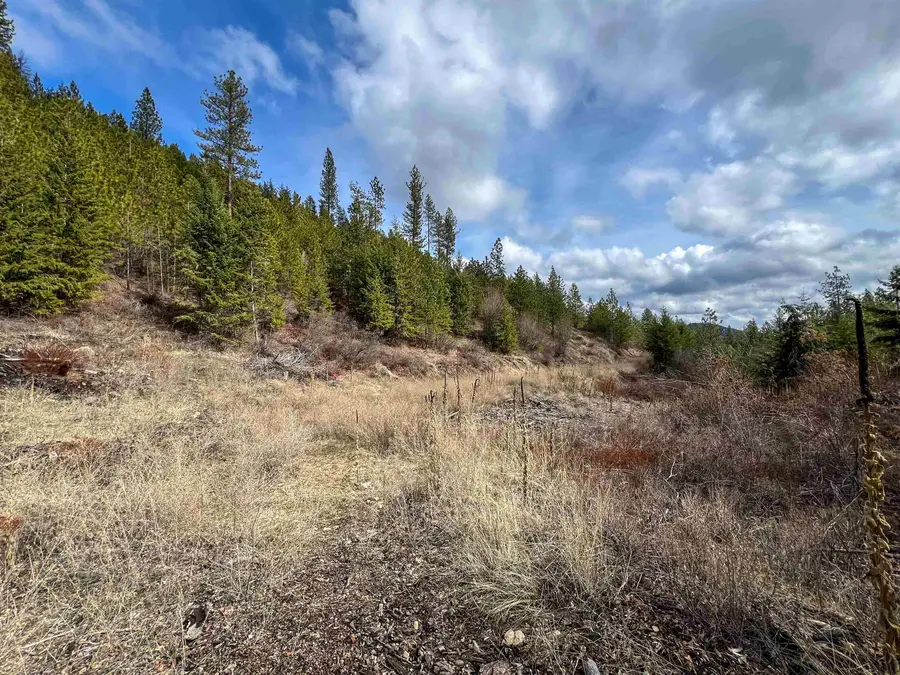 352X Greene Rd, Valley, WA 99181 - #3