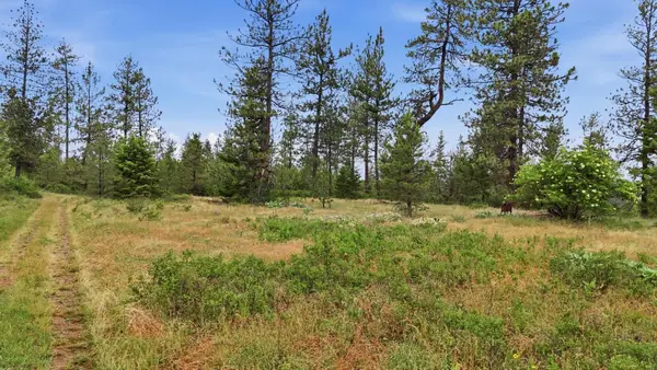 XXX W Highland Rd, Nine Mile Falls, WA 99026
