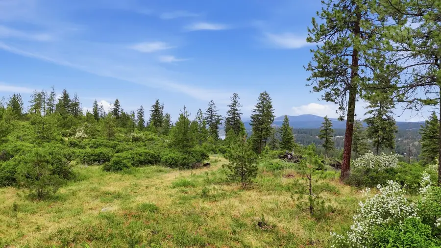 XXX W Highland Rd, Nine Mile Falls, WA 99026 - #3
