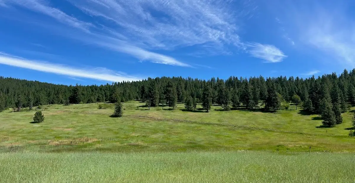 3635 B Breckenridge Rd, Rice, WA 99167 - #1