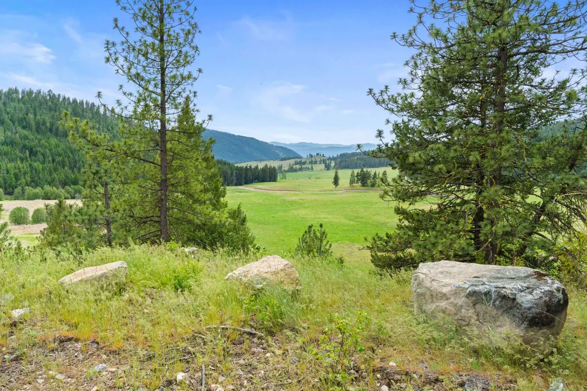 3114 Old Baldy Tracts D, K And L Rd, Rice, WA 99126 - #1