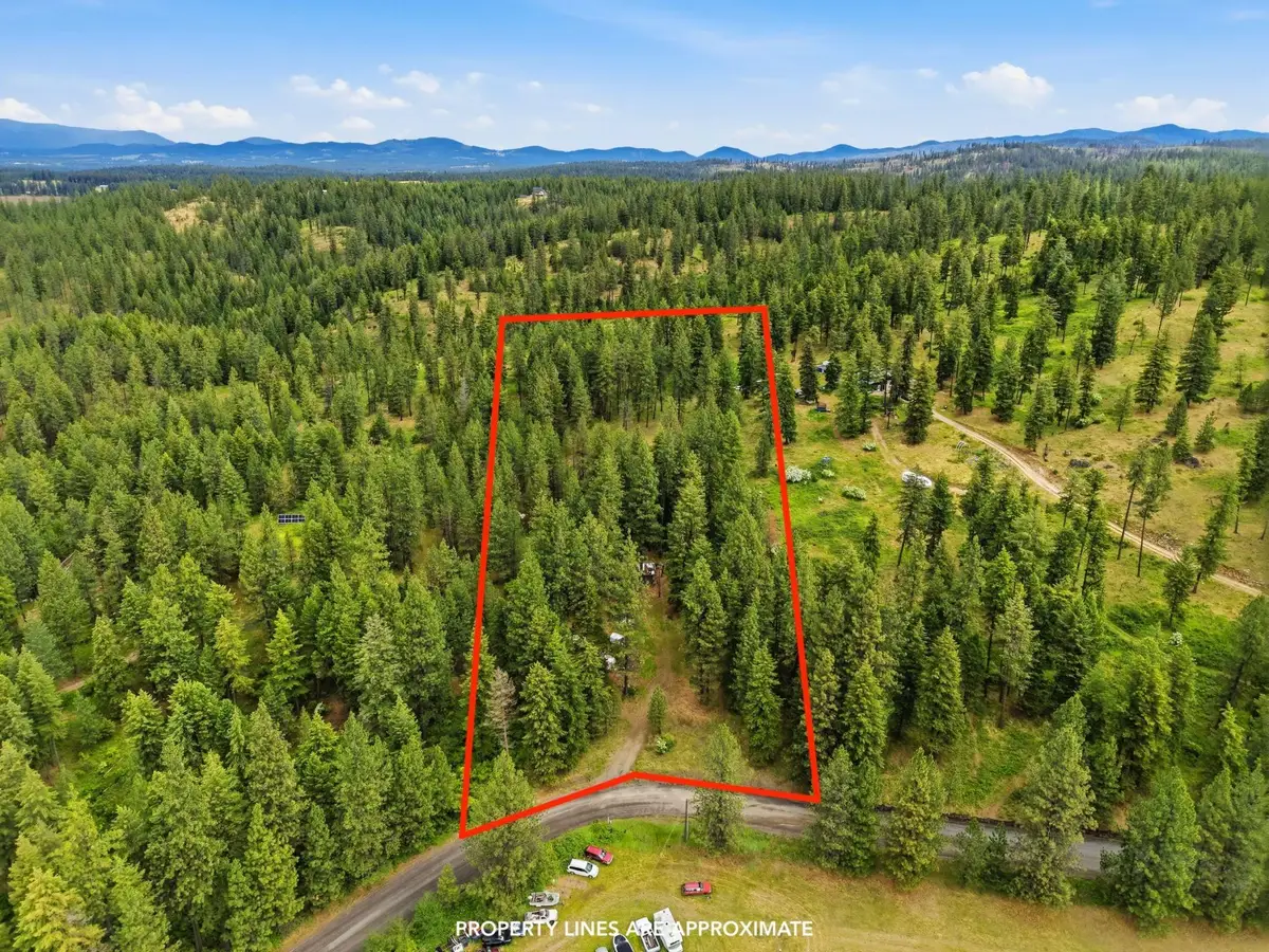 11603 E Deer Creek Rd, Chattaroy, WA 99003 - #1