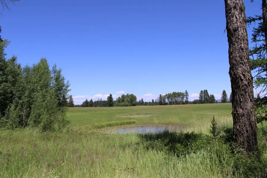 45XX W Gibson-dahl Rd, Clayton, WA 99110 - #3