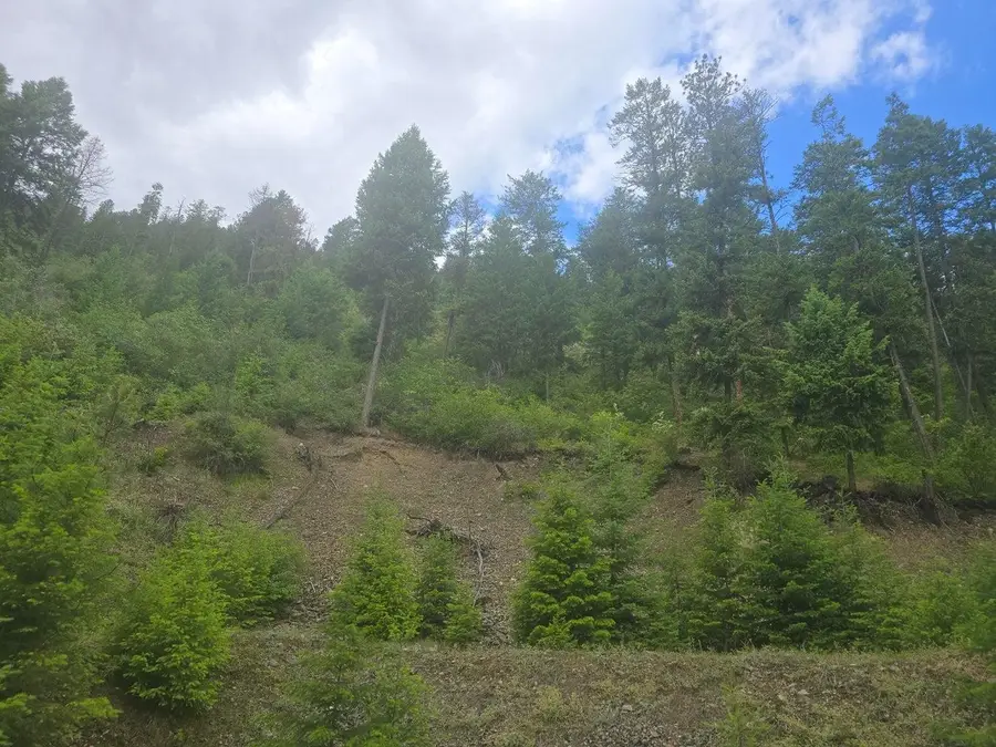 3XX Aladdin Rd, Colville, WA 99114-0000 - #2