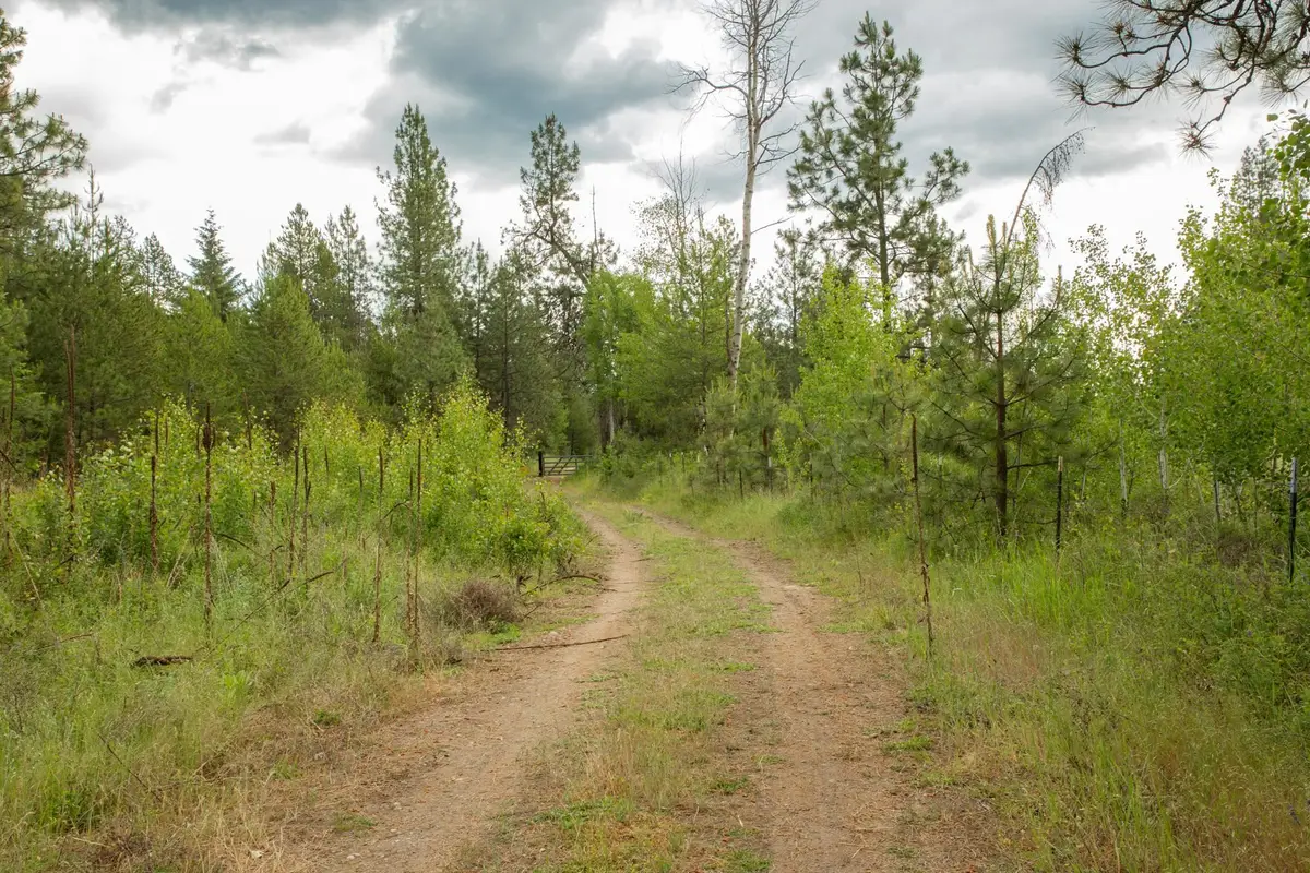 4110 Cemetery Rd, Springdale, WA 99137 - #1