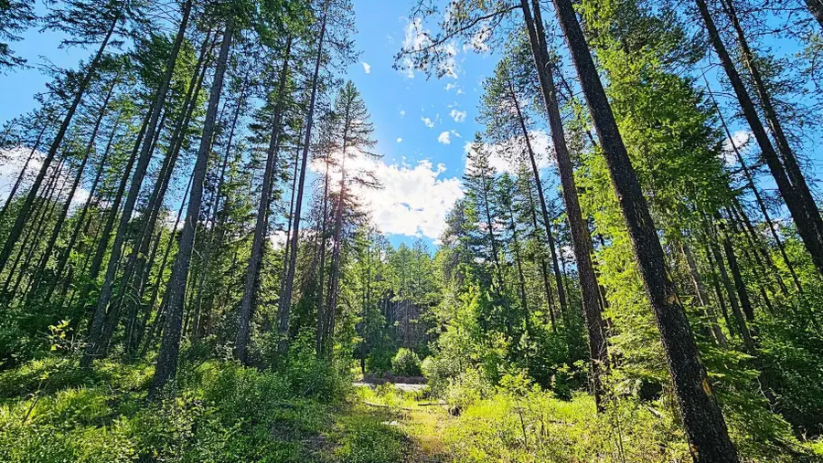 11xx Orin Rice Rd, Colville, WA 99114-0000 - #2