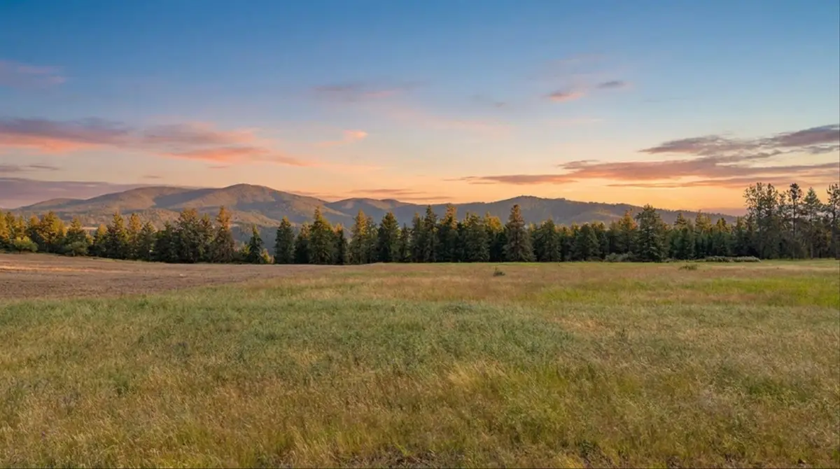 xxx Orchard Bluff Rd, Chattaroy, WA 99003 - #1