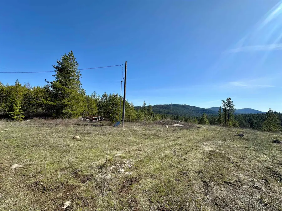 1101 Scotia Rd, Newport, WA 99156 - #2