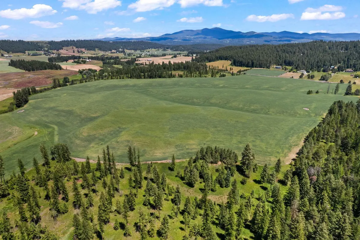 20141 N Bernhill Rd, Colbert, WA 99005 - #1