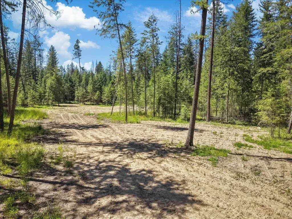 305XX N Cleveland Rd, Deer Park, WA 99006 - #1