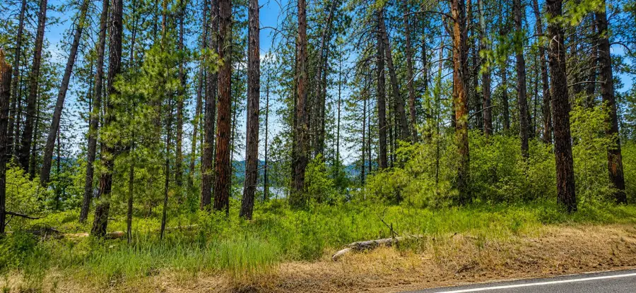 XXX Hwy 25 S Hwy, Gifford, WA 99131 - #2