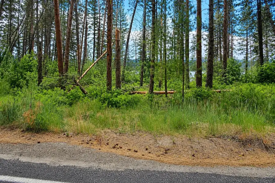 XXX Hwy 25 S Hwy, Gifford, WA 99131 - #3