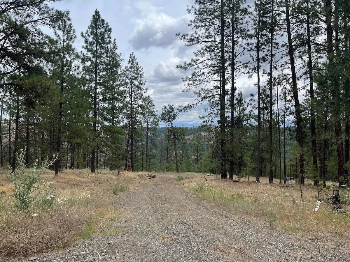 31676 Sontag Ridge E Dr, Davenport, WA 99122 - #1