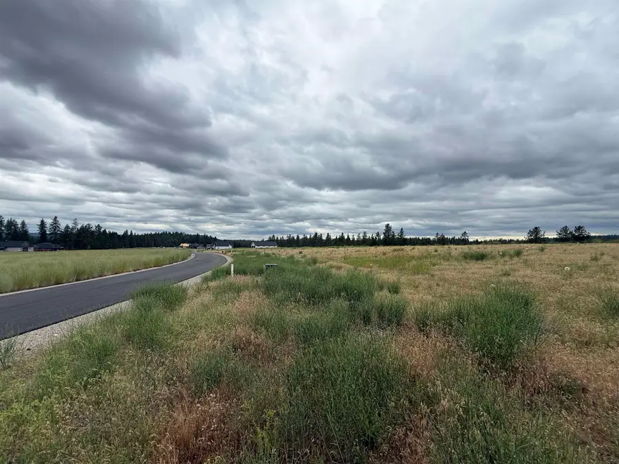 4207 E Molly Jean Ln, Chattaroy, WA 99003 - #2