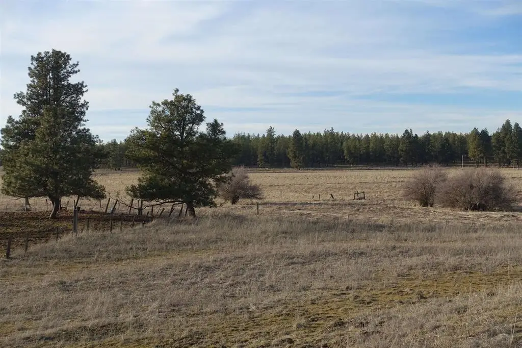 20xxx S Parker Rd, Spangle, WA 99031 - #1