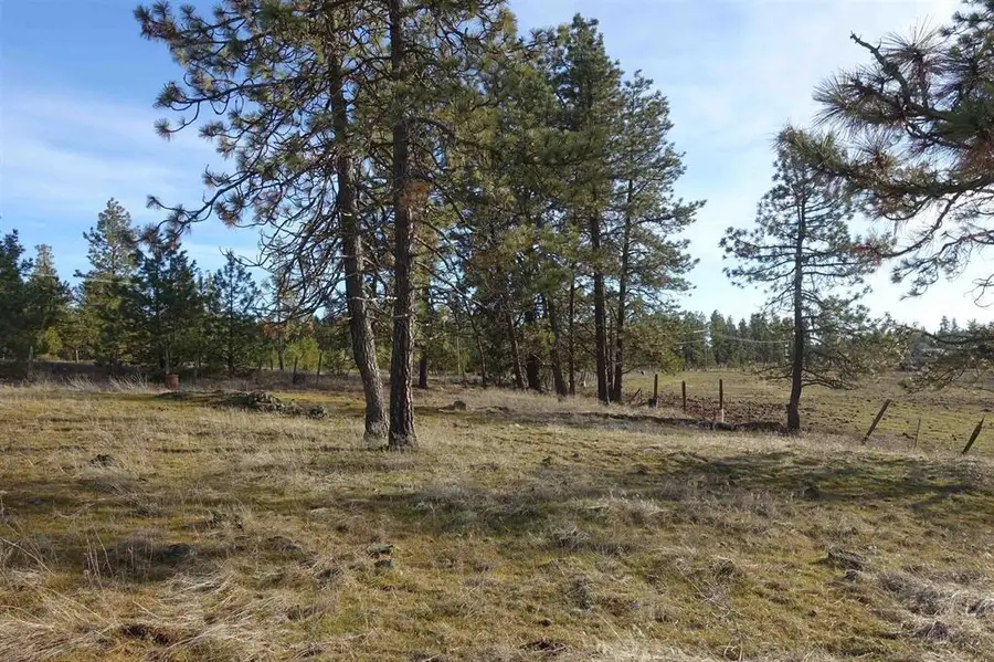 20xxx S Parker Rd, Spangle, WA 99031 - #2