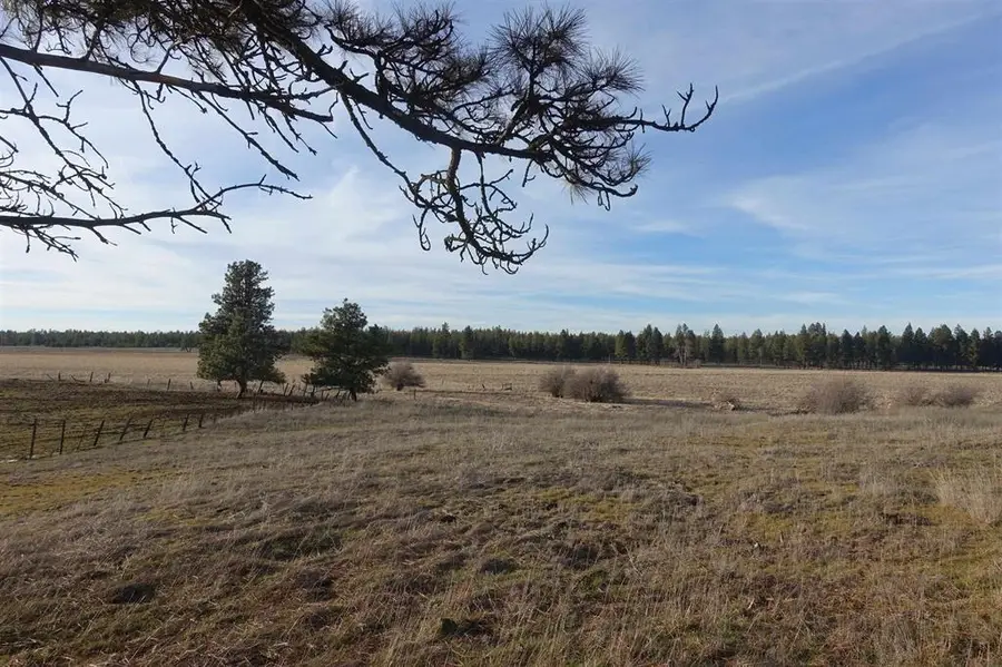 20xxx S Parker Rd, Spangle, WA 99031 - #3