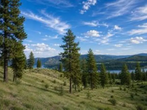 7 Ballard Ave, Kettle Falls, WA 99141-9941