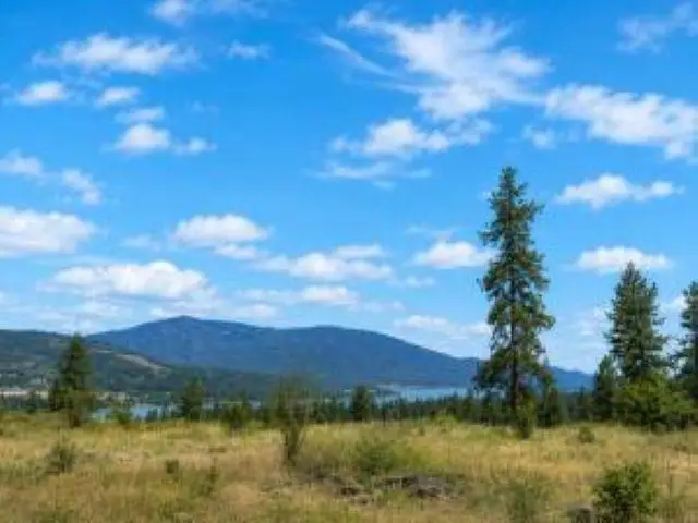 7 Ballard Ave, Kettle Falls, WA 99141-9941 - #2
