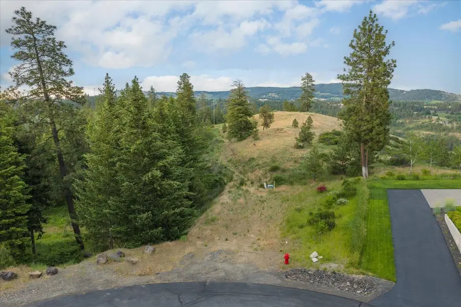 11411 S Elk Run Ln, Spokane, WA 99224 - #3