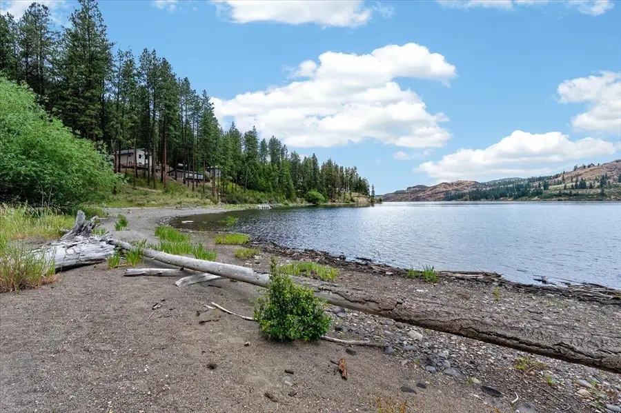 42049 Porcupine Bay N Rd, Davenport, WA 99122 - #2