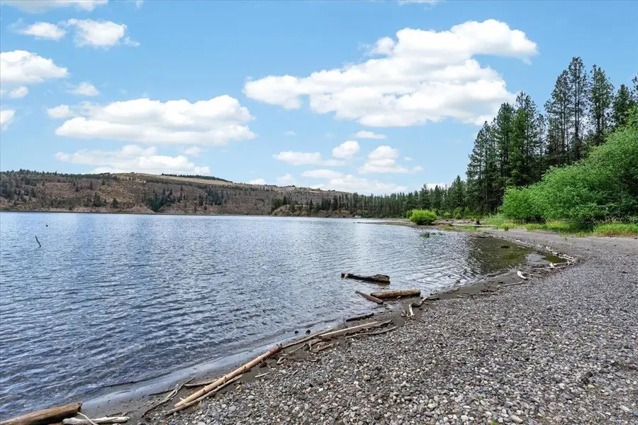 42049 Porcupine Bay N Rd, Davenport, WA 99122 - #3