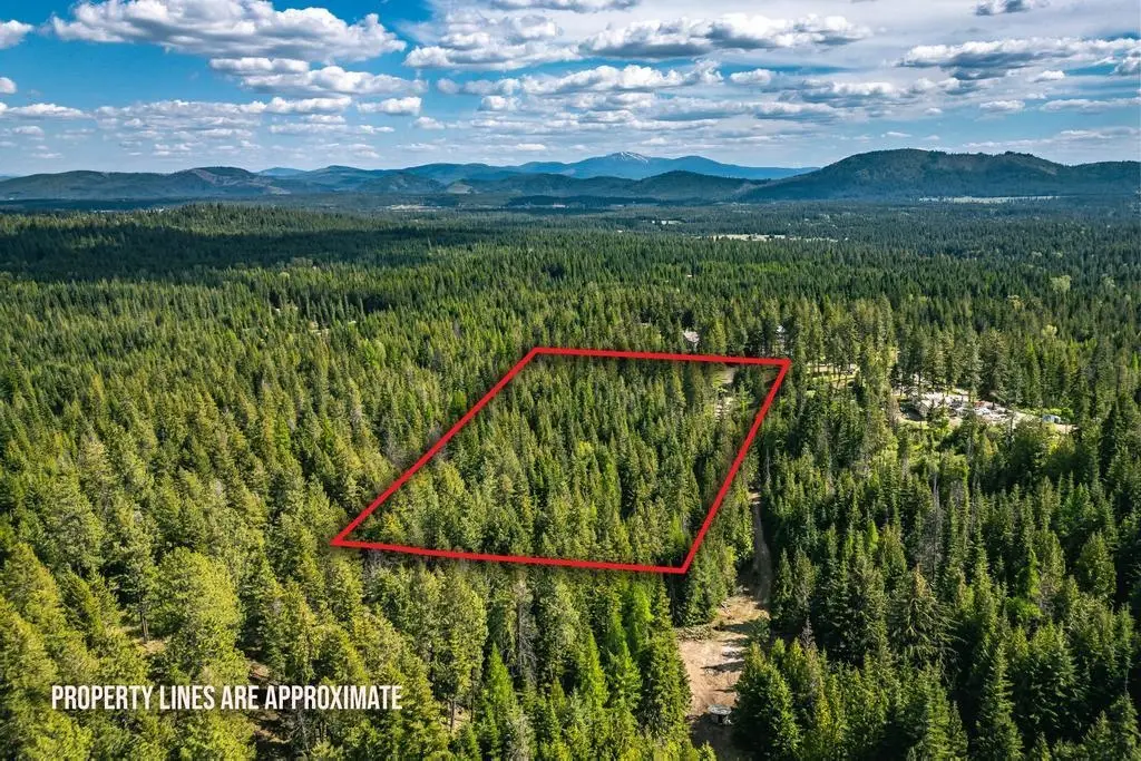 270 Lupine Ln, Newport, WA 99156 - #1