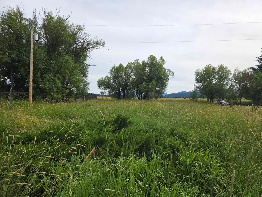 NKA Winchester St, Cusick, WA 99119 - #2