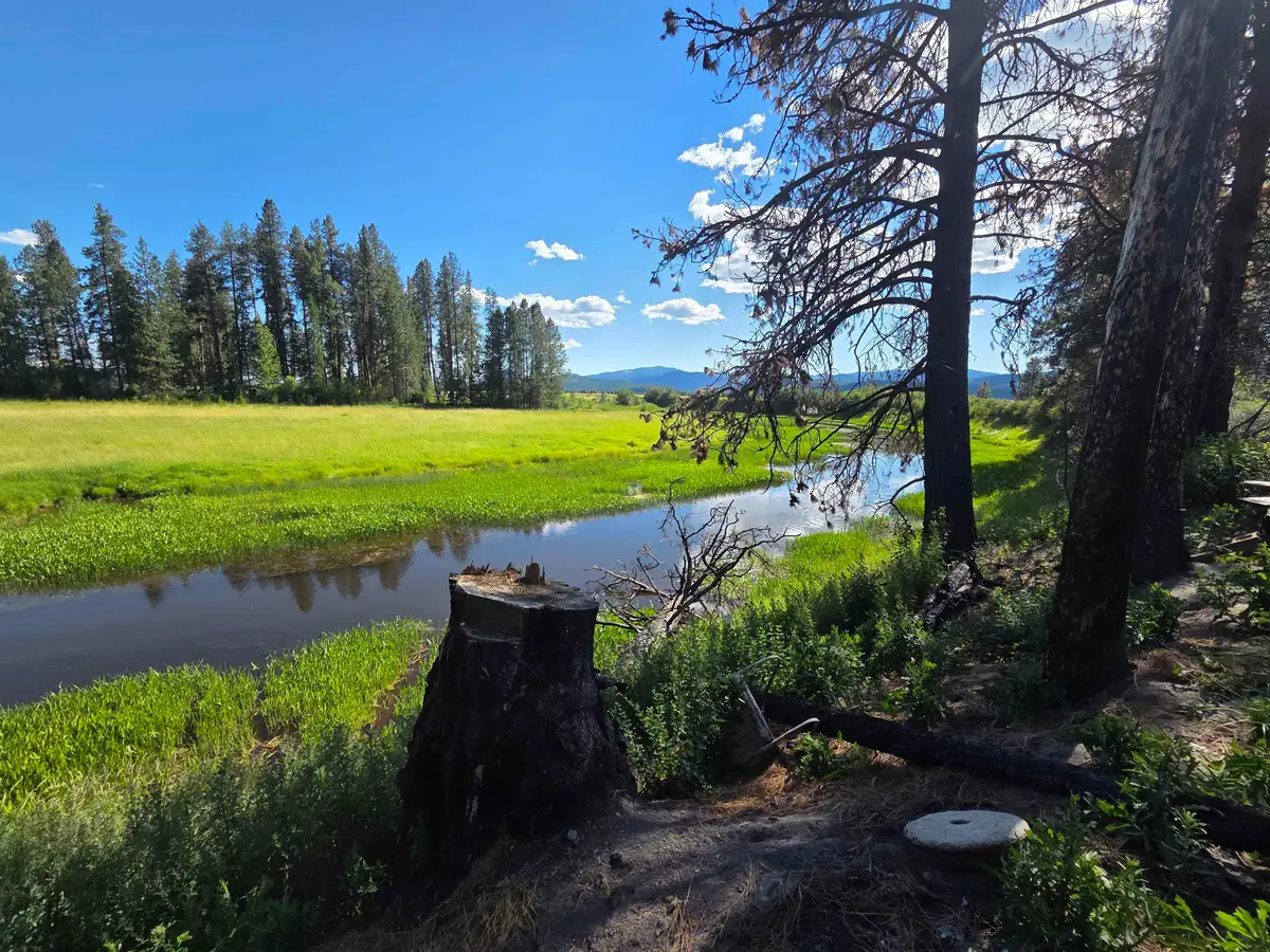 123 Cusick Meadows Rd, Cusick, WA 99119 - #1