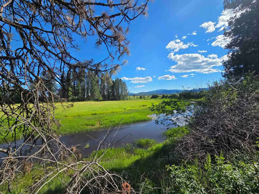 123 Cusick Meadows Rd, Cusick, WA 99119 - #3