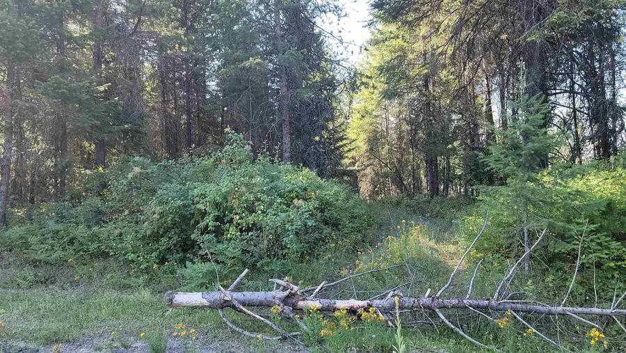 612 Overlook Dr, Newport, WA 99156 - #3