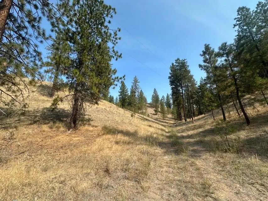 5699 C Hwy 231 Hwy, Ford, WA 99013 - #1
