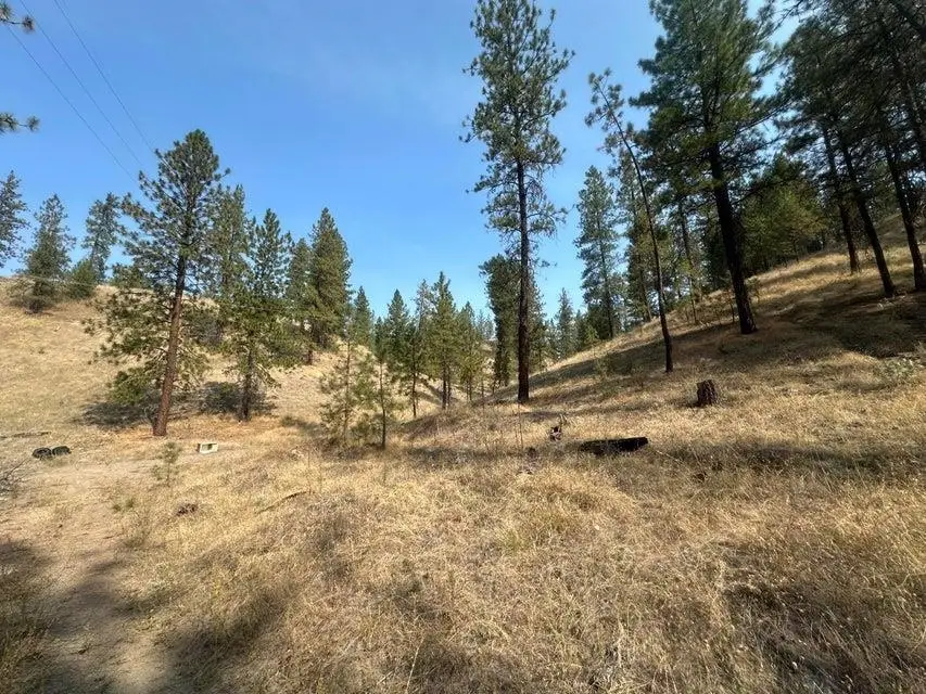 5699 C Hwy 231 Hwy, Ford, WA 99013 - #2