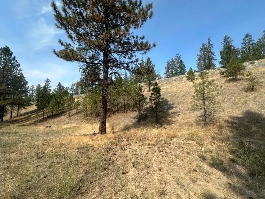5699 C Hwy 231 Hwy, Ford, WA 99013 - #3
