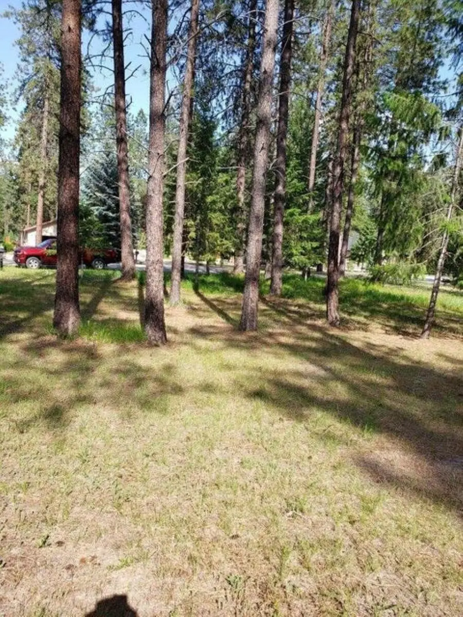 256 Eagle Dr, Chewelah, WA 99109 - #2