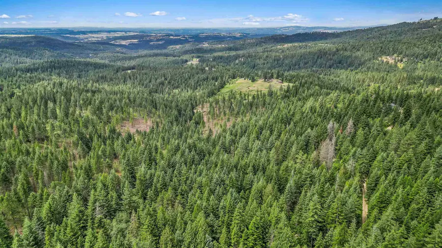 XXX N Deer Ln, Mead, WA 99021 - #2