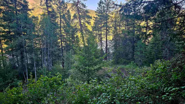 10 Humes Rd, Kettle Falls, WA 99141