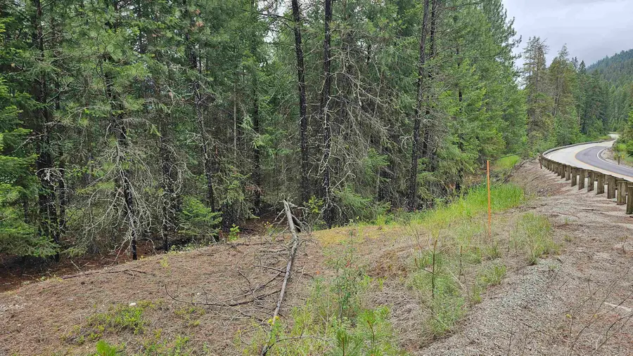 10 Humes Rd, Kettle Falls, WA 99141 - #2