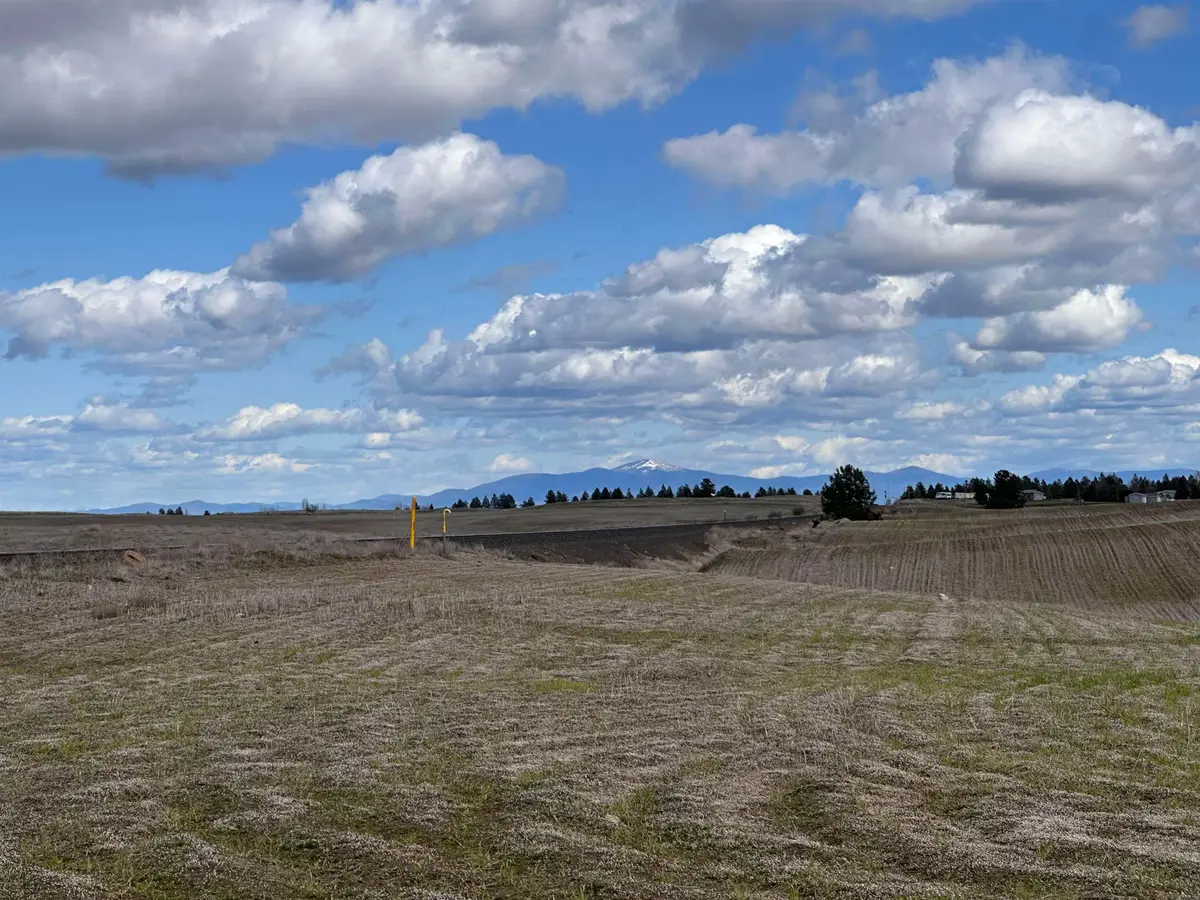 11XXX S Rambo Rd, Medical Lake, WA 99022 - #1